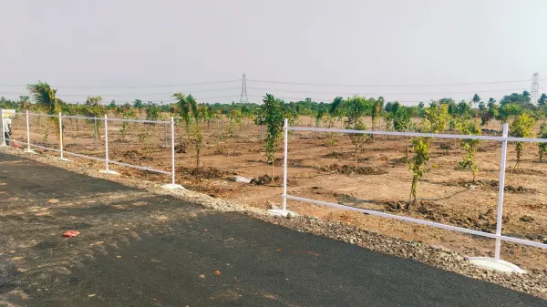 Sameera Terra Farms