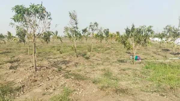 Sameera Terra Farms
