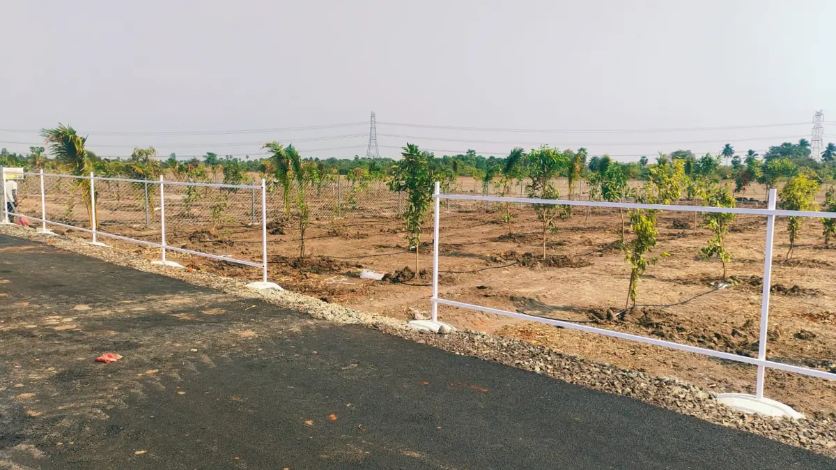 Sameera Terra Farms